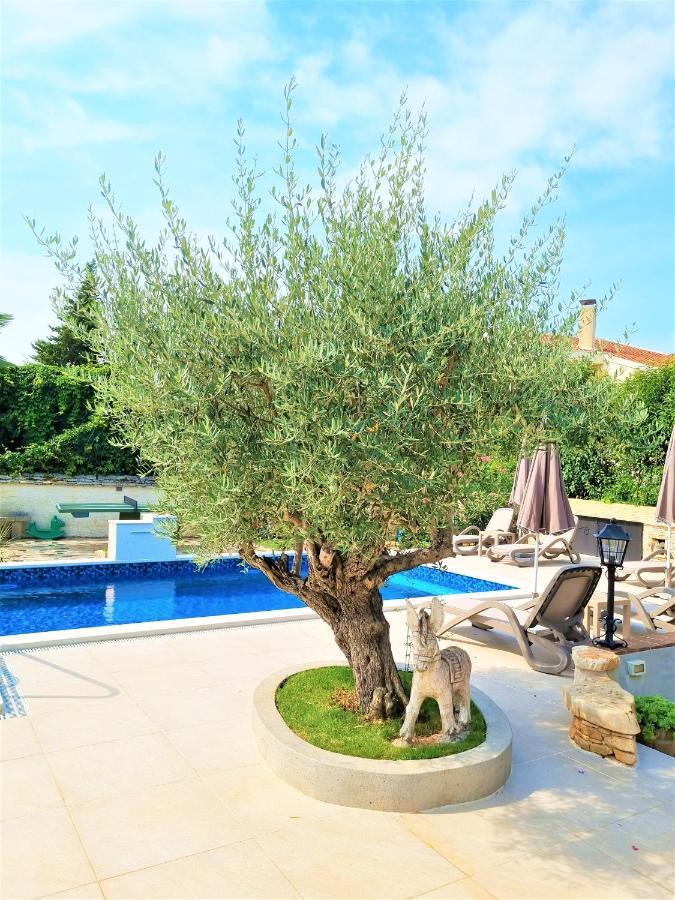 Apartment Villa Engel With Pool 波雷奇 外观 照片